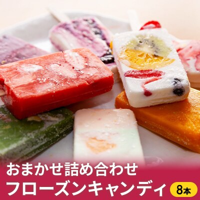 フローズンキャンディ おまかせ 詰め合わせ 8本セット 手作り アイス[No.5605-0047]