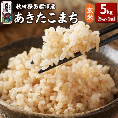 令和7年産 あきたこまち 玄米 5kg 吉運商店 秋田県 男鹿市 お米|23_ysu-220501a