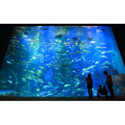 男鹿水族館GAOペア入館券[No.5605-0323]