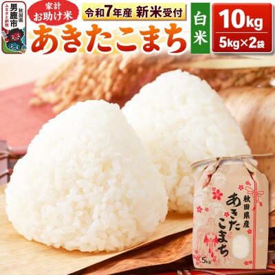 先行受付【白米】家計お助け米 あきたこまち 10kg|23_kml-011001s