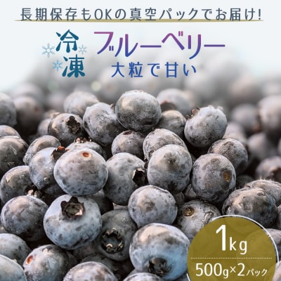 冷凍ブルーベリー500g×2パック(合計1kg)[No.5605-0207]