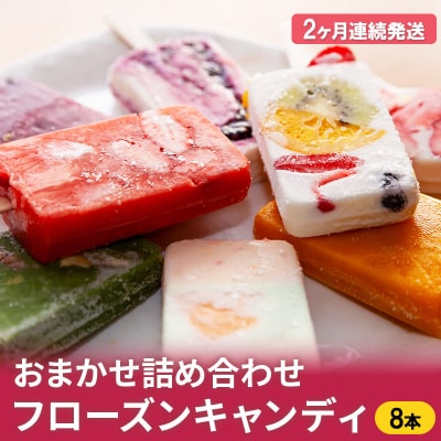 【定期便2ヶ月】フローズンキャンディ おまかせ 詰め合わせ 8本セット[No.5605-0265]