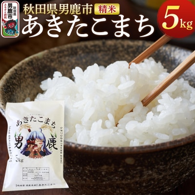 《令和7年産》あきたこまち 精米 5kg 秋田県 男鹿市産|23_ymk-010101