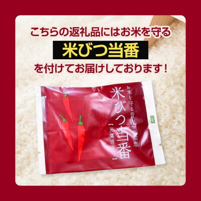 《令和7年産》あきたこまち 精米 10kg(5kg×2袋)秋田県|23_ymk-010201