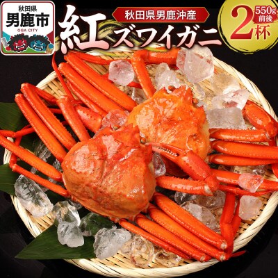 男鹿沖産紅ズワイガニ 550g 前後×2杯 男鹿なび 蟹 国産 秋田|23_ogn-150201
