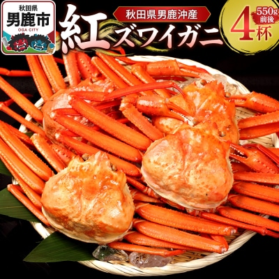男鹿沖産紅ズワイガニ 550g 前後×4杯 男鹿なび 蟹 国産 秋田|23_ogn-150401