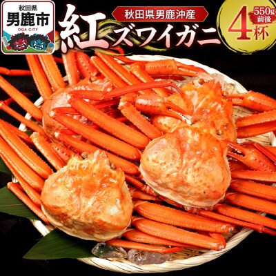 男鹿沖産紅ズワイガニ 550g 前後×4杯 男鹿なび 蟹 国産 秋田|23_ogn-150401