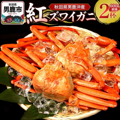 男鹿沖産紅ズワイガニ 600g 前後×2杯 男鹿なび 蟹 国産 秋田|23_ogn-160201