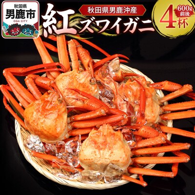 男鹿沖産紅ズワイガニ 600g 前後×4杯 男鹿なび 蟹 国産 秋田|23_ogn-160401