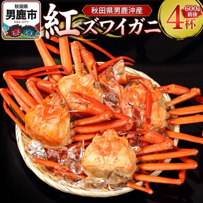 男鹿沖産紅ズワイガニ 600g 前後×4杯 男鹿なび 蟹 国産 秋田|23_ogn-160401