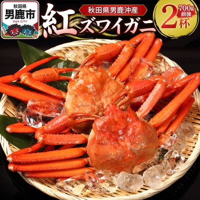 男鹿沖産紅ズワイガニ 700g 前後×2杯 男鹿なび 蟹 国産 秋田|23_ogn-170201
