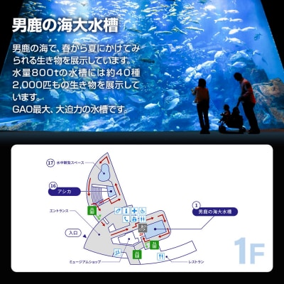 男鹿水族館GAOペア入館券 2名分 秋田県 ガオ 日本海 ペア|23_ogs-010201