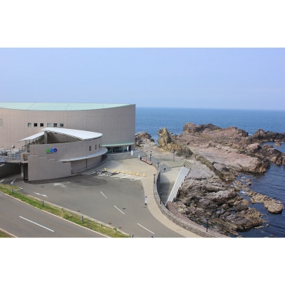 男鹿水族館GAOペア入館券 2名分 秋田県 ガオ 日本海 ペア|23_ogs-010201