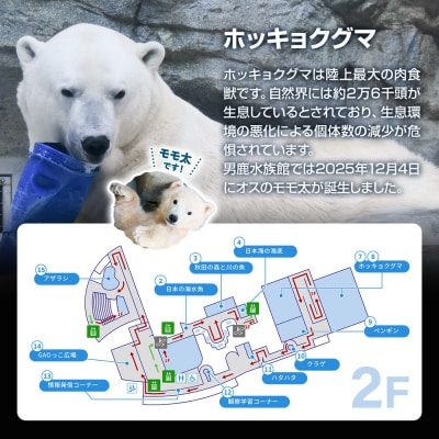 男鹿水族館GAOペア入館券 2名分 秋田県 ガオ 日本海 ペア|23_ogs-010201