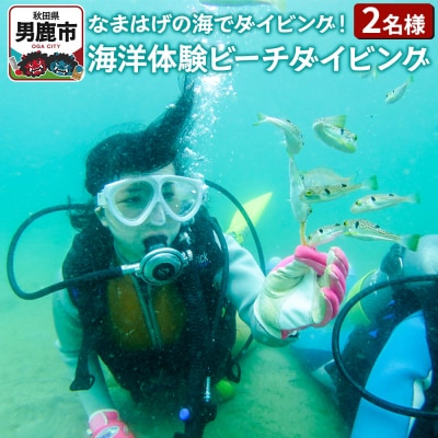 【なまはげの海でダイビング!!】 海洋体験ビーチダイビング 2名様|23_sea-010201