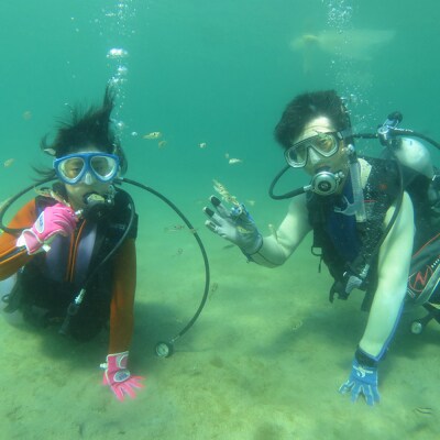 【なまはげの海でダイビング!!】 海洋体験ビーチダイビング 2名様|23_sea-010201