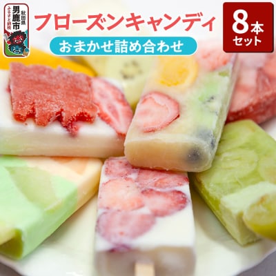 フローズンキャンディ おまかせ詰め合わせ 8本セット ゴンタロー|23_gnt-010801
