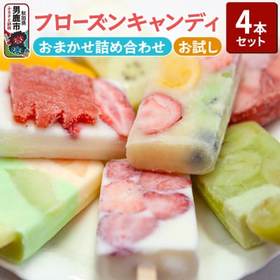 フローズンキャンディ おまかせ 4本 お試しセット ゴンタロー|23_gnt-020401