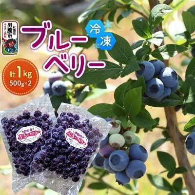 【男鹿ぶるーべりーガーデン】冷凍ブルーベリー 500g×2パック計1kg|23_sea-021001