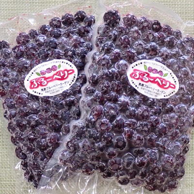 【男鹿ぶるーべりーガーデン】冷凍ブルーベリー 500g×2パック計1kg|23_sea-021001
