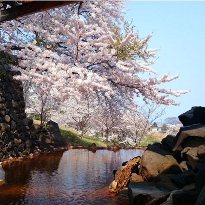 男鹿温泉SKOグループホテル 1泊2食ペア宿泊券(朝食夕食付き)|23_sko-020201