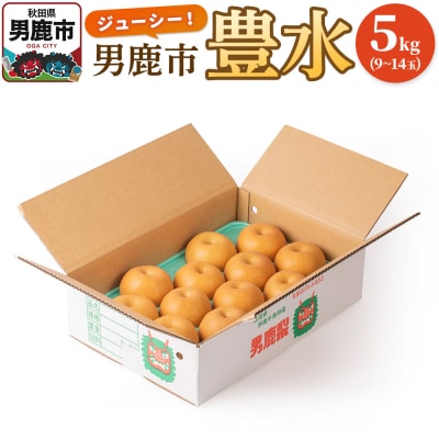 【令和7年度 早期受付】豊水 5kg 9～14玉 梨 秋田県 男鹿市|23_fre-020501