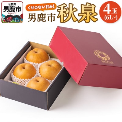 【令和8年度 早期受付】秋泉 梨 4玉 6L～ 梨 なし 秋田県 男鹿市|23_fre-050401