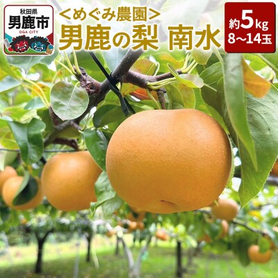 【先行受付】男鹿の梨 南水 約5kg 8～14玉 梨 10月上旬より発送|23_mgm-020501