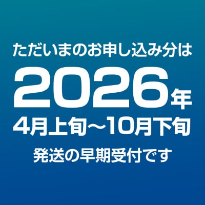 《先行受付 4月上旬より発送》産地直送 ナンバンエビ 約1kg!|23_mgs-051001