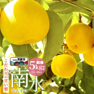 【先行受付】南水 梨 こだわりの甘い梨 5kg前後 3L 14～16玉|23_nhn-050501