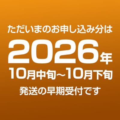 【先行受付】南水 梨 こだわりの甘い梨 5kg前後 3L 14～16玉|23_nhn-050501