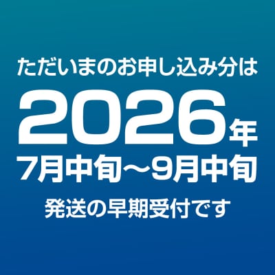 ババヘラ・メロンバラ盛りカップアイス6個セット【進藤冷菓】|23_sdr-030601
