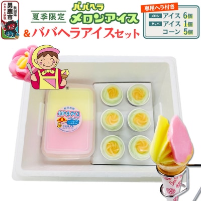 夏季限定 ババヘラ・メロンバラ盛りカップ&タッパアイスセット【進藤冷菓】|23_sdr-040101