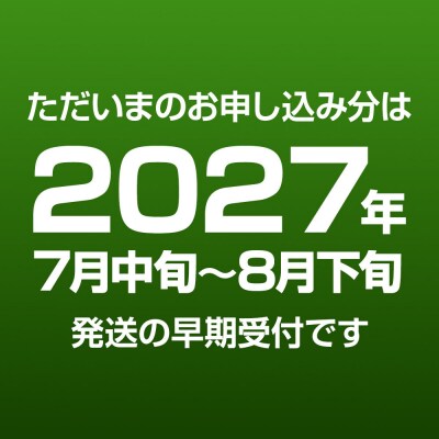ババヘラ・バラ盛り(3個)メロンバラ盛り(3個)セット|23_sdr-050601