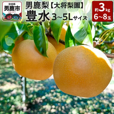 【先行受付】男鹿梨 「大将梨園」豊水 約3kg 6～8玉 3～5L 梨|23_tsn-010301