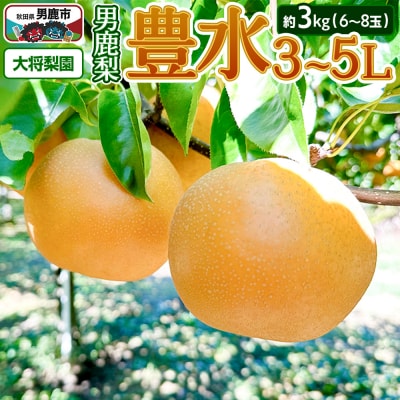 【先行受付】男鹿梨 「大将梨園」豊水 約3kg 6～8玉 3～5L 梨|23_tsn-010301