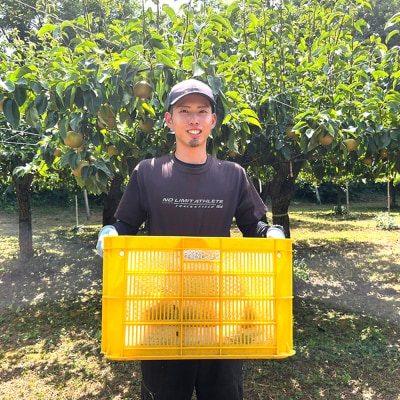 【先行受付】男鹿梨 「大将梨園」豊水 約3kg 6～8玉 3～5L 梨|23_tsn-010301