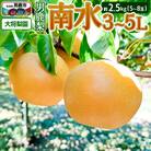 【先行受付】男鹿梨 「大将梨園」南水 約2.5kg 5～8玉 3～5L|23_tsn-020301