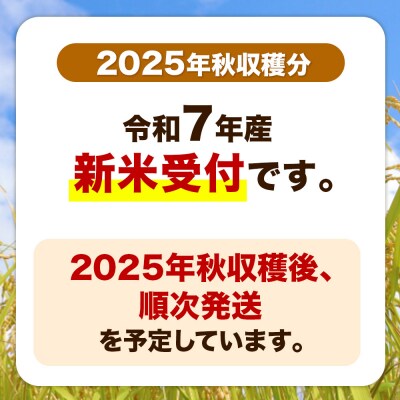 先行受付 あきたこまち 精米 10kg(5kg×2袋)|23_aso-011001s