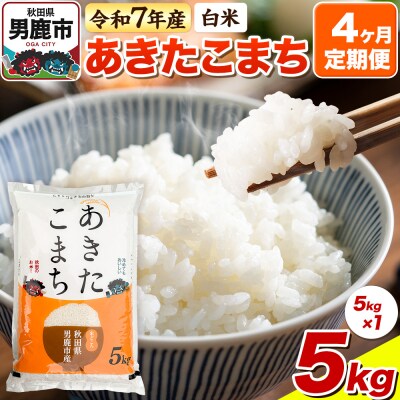先行受付《定期便4ヶ月》【白米】あきたこまち 5kg|23_bla-040504