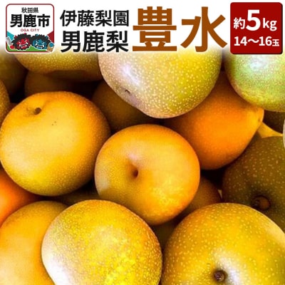 【先行受付】男鹿梨 「伊藤梨園」の豊水 梨 約5kg 2L 14～16玉|23_itn-010501