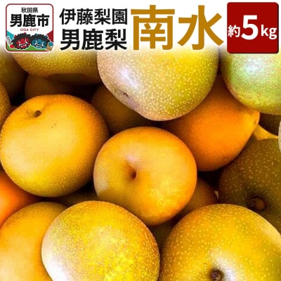【先行受付】男鹿梨 「伊藤梨園」の南水 梨 約5kg 2L～3L 秋田県|23_itn-020501