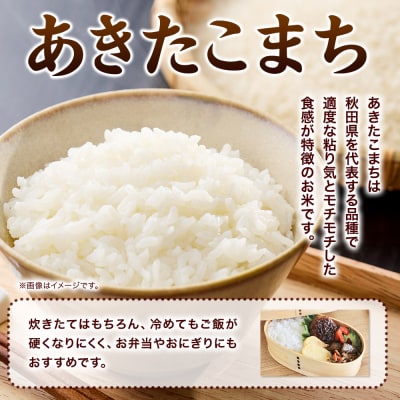 ＜令和7年産新米受付＞あきたこまち 白米 5kg 鈴木農産|23_szn-010501