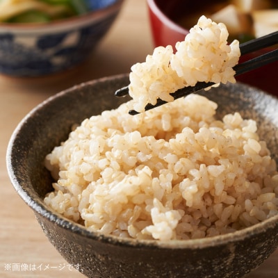 ＜令和7年産＞「秋田県男鹿市北浦産」あきたこまち(玄米)10kg|23_imf-011001