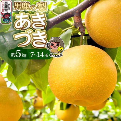 《先行受付》男鹿の梨 あきづき 約5kg 7～14玉 梨 秋田県 男鹿市|23_mgm-030501 | ふるさと納税のお礼品