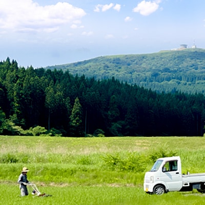 【栽培期間中農薬不使用】令和7年産 あきたこまち 白米 5kg×2袋|23_nhv-020201
