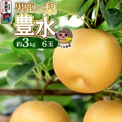 先行受付 男鹿の梨 豊水 約3kg 6玉 梨 秋田県 男鹿市|23_mgm-010301