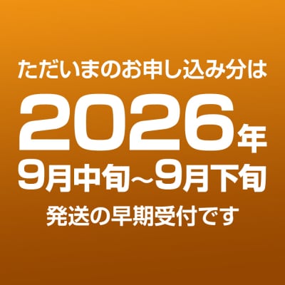 《先行受付》男鹿の梨 豊水 約3kg 6玉 梨 秋田県 男鹿市|23_mgm-010301