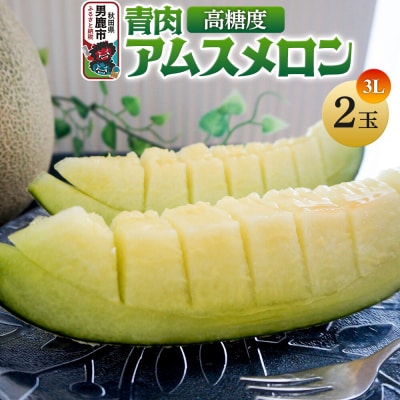 R8年産 先行受付 メロン2玉(アムス) 秋田県 男鹿市|23_bla-030201