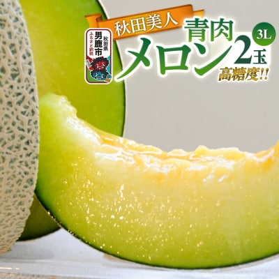 R8年産 先行受付 メロン2玉(秋田美人) 秋田県 男鹿市|23_bla-020201